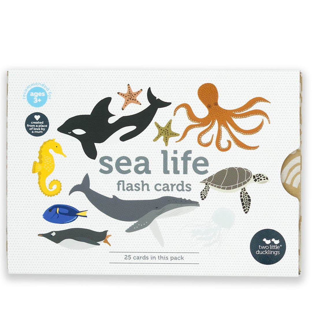 Sea Life Flash Cards
