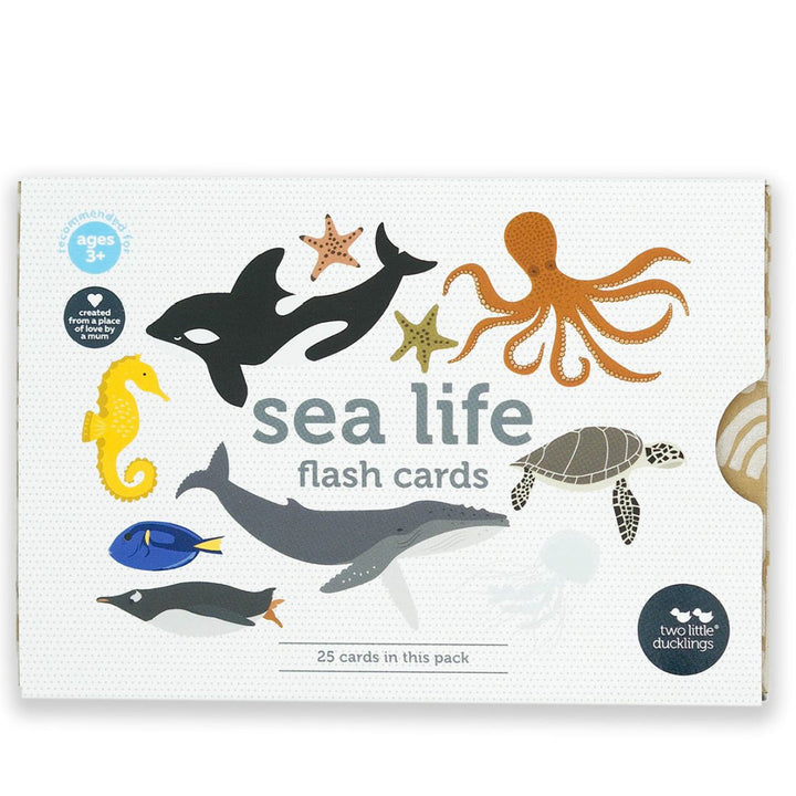 Sea Life Flash Cards
