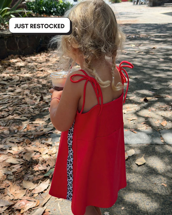 Leopard Stripe Mini Dress