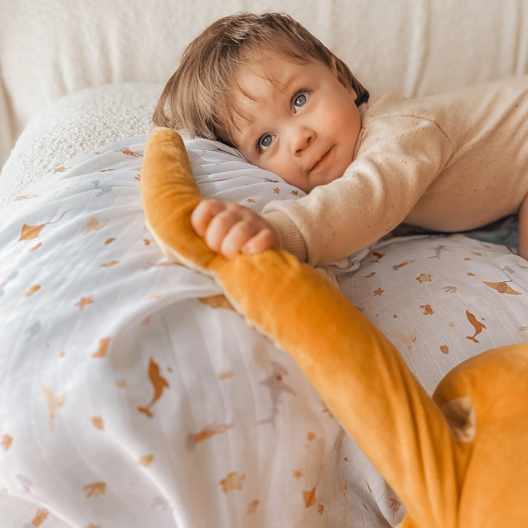 Swaddle | Organic - Ocean Creatures Sky