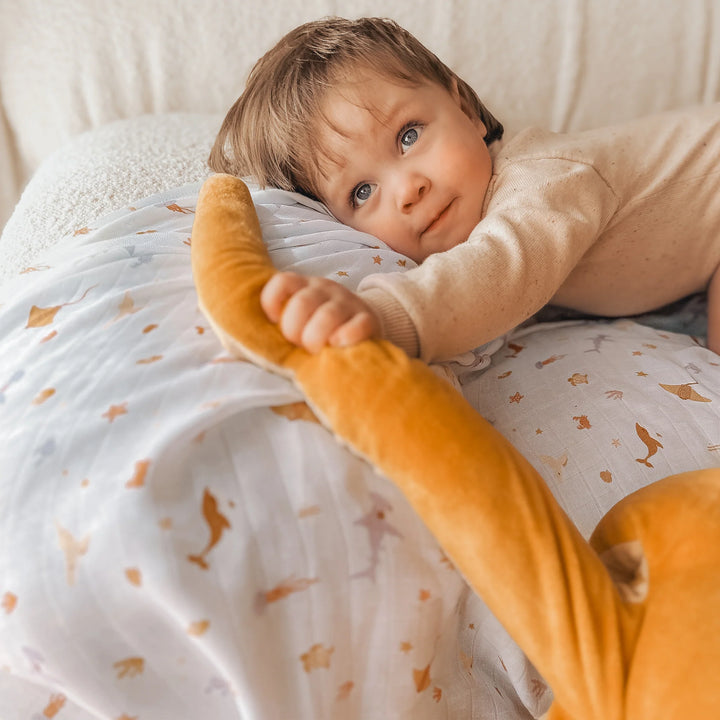 Swaddle | Organic - Ocean Creatures Sky