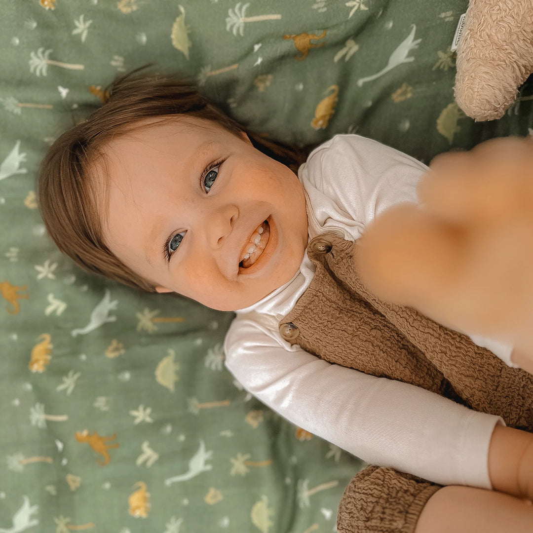 Swaddle | Organic - Dinos