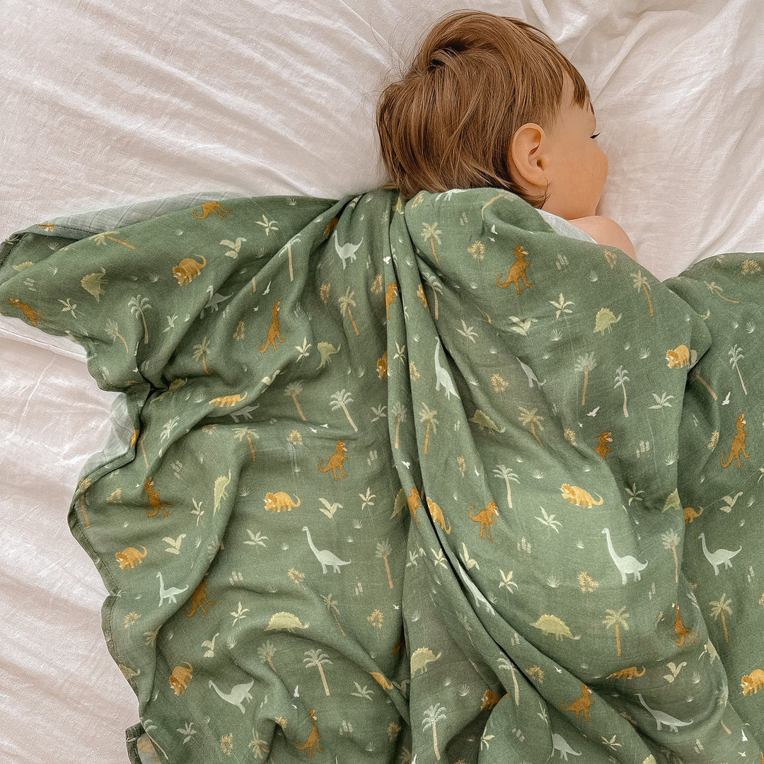 Swaddle | Organic - Dinos