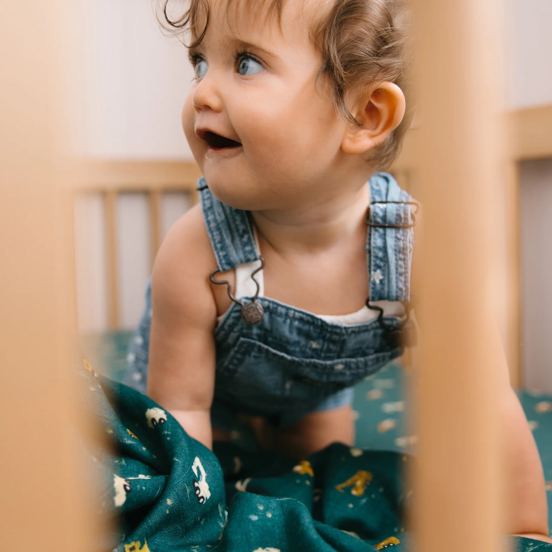 Swaddle | Organic - Trucks