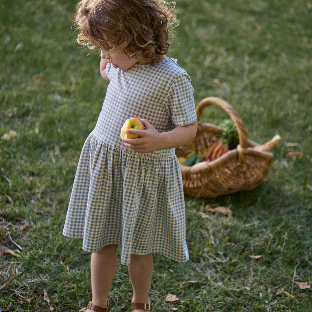 Saturday Dress | Blue Gingham