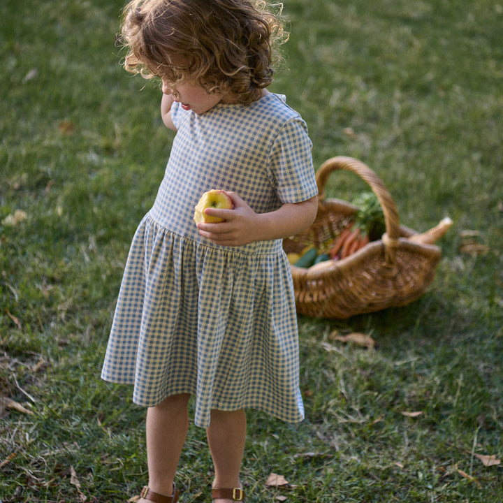 Saturday Dress | Blue Gingham