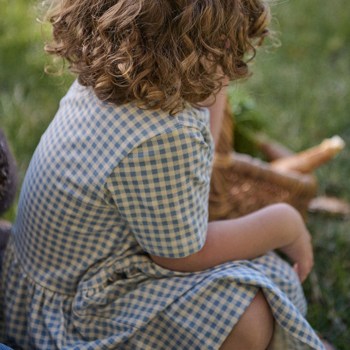 Saturday Dress | Blue Gingham