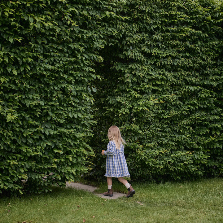 Dress | Nora - Bluebelle Check
