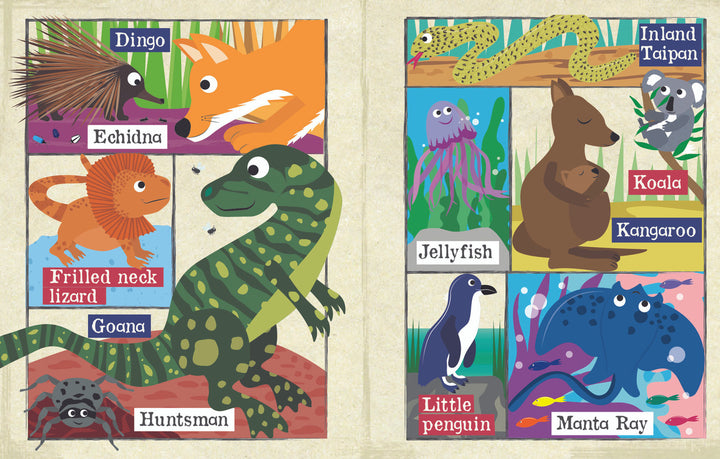 Nursery Times | Crinkly Newspaper - A-Z Aussie Animals