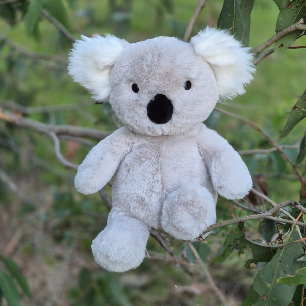 Plush Koala | Sidney