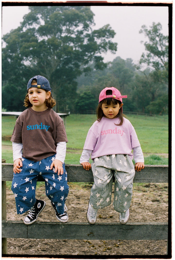 Dusty Star Pants | Blue Gingham