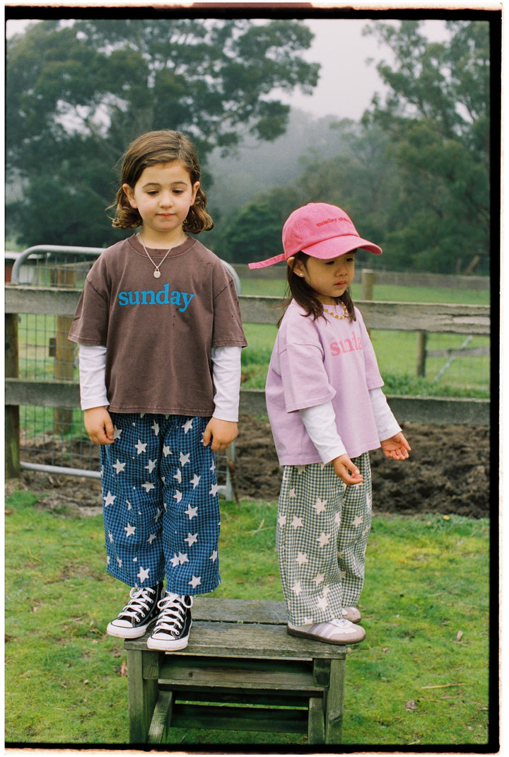 Dusty Star Pants | Blue Gingham