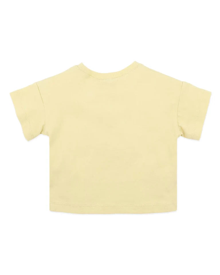 Casablanca Skater Fox Tee