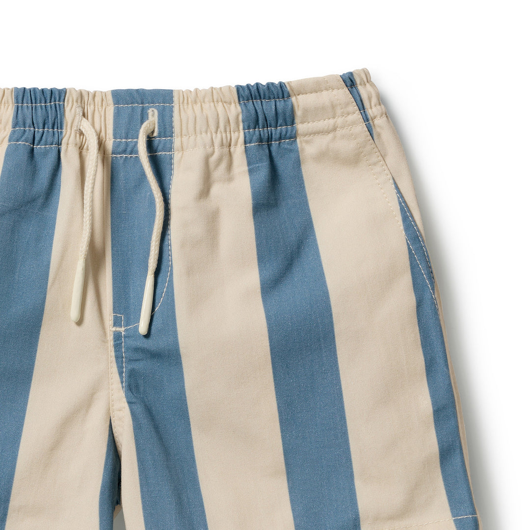Board Short | Swim - Ocean Stripe