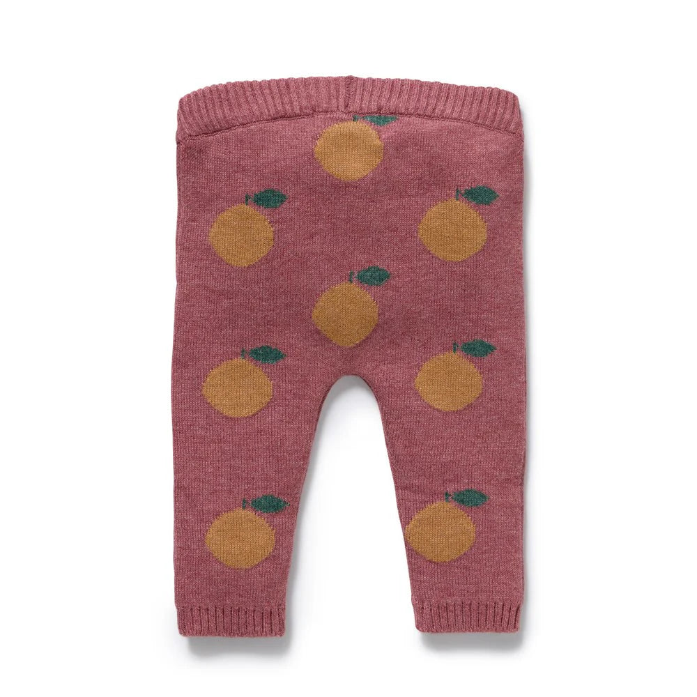 Pant | Organic Knitted - Clementine
