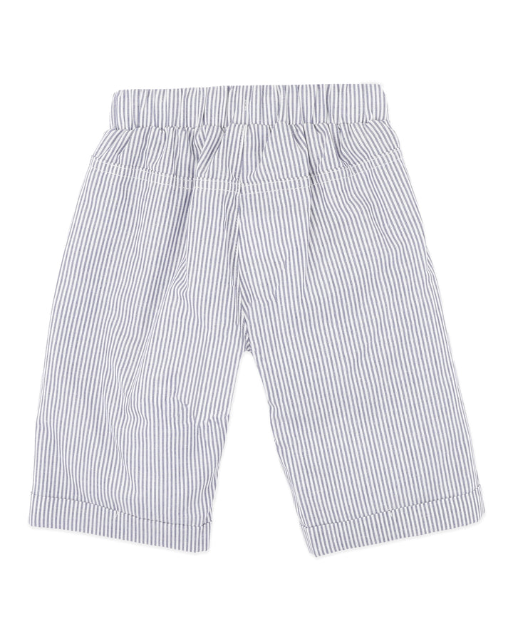 Brady Woven Pants | Indigo Stripe