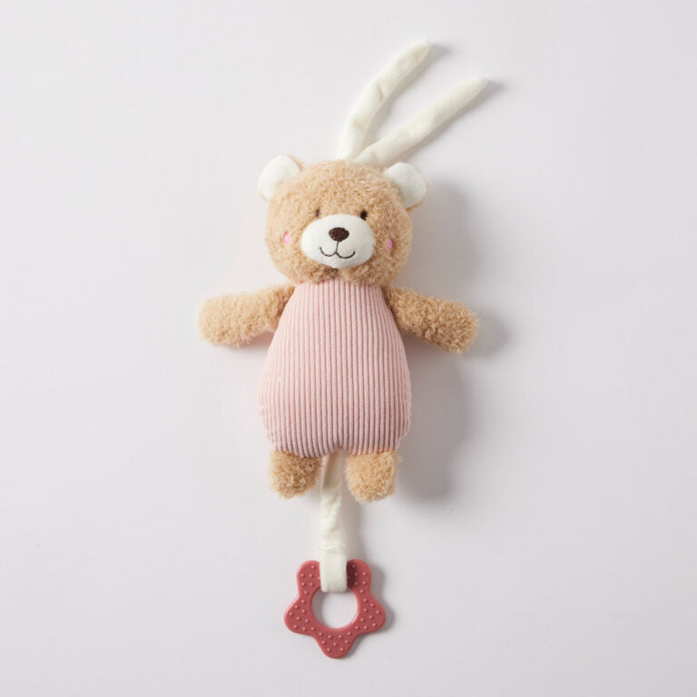 Hugglies | Musical Teddy Bear - Pink