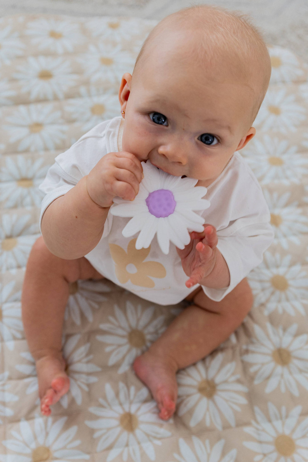 Teether | Silicone - Milk Daisy / Lilac Centre