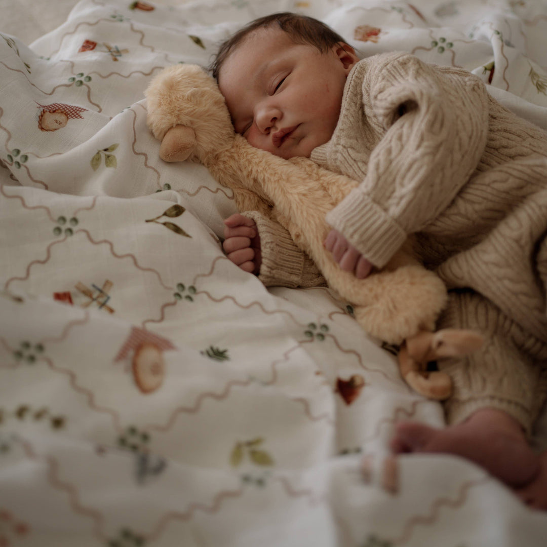 Swaddle | Organic - Cottage Picnic