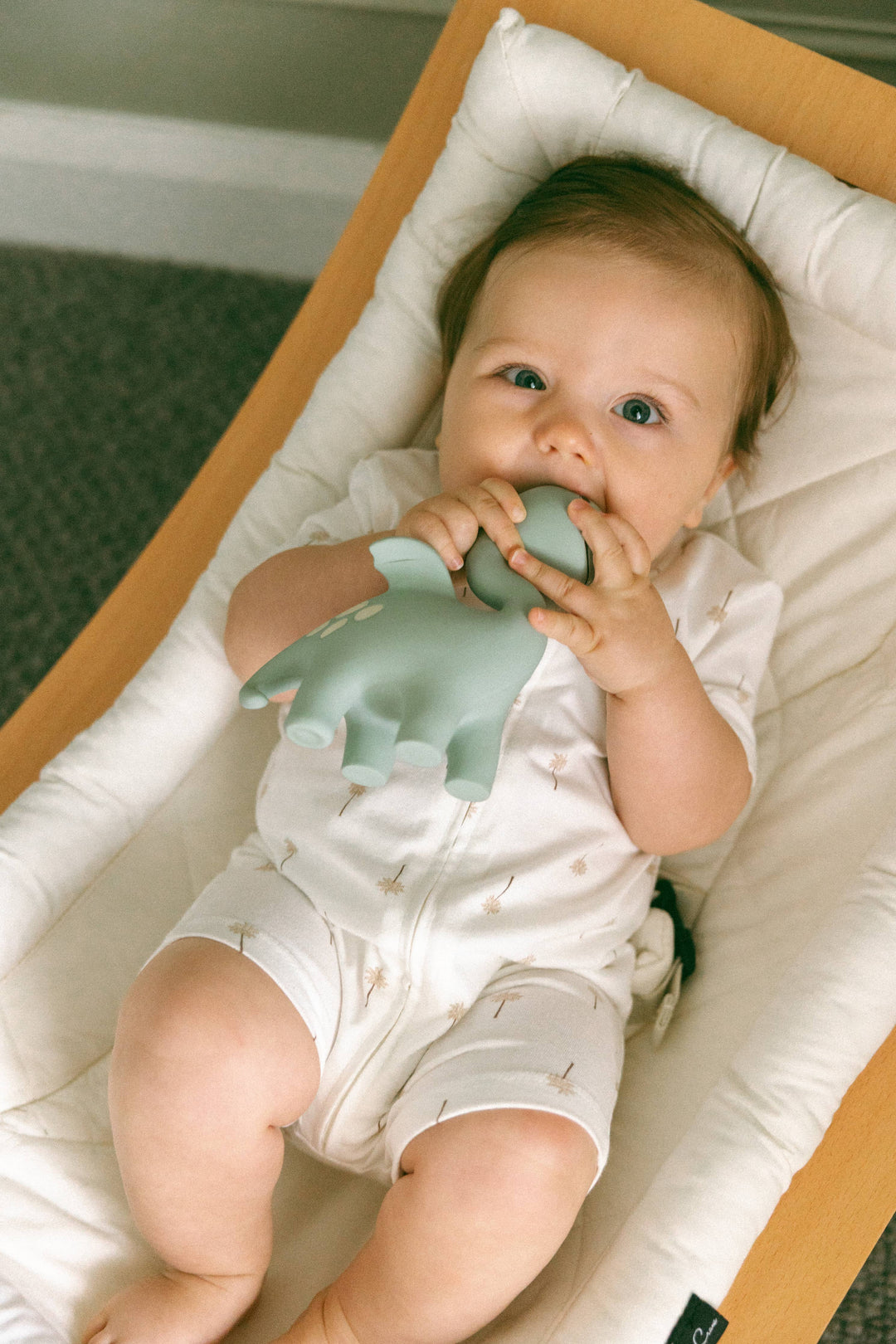 Teether | Diplo the Dino-Dragon