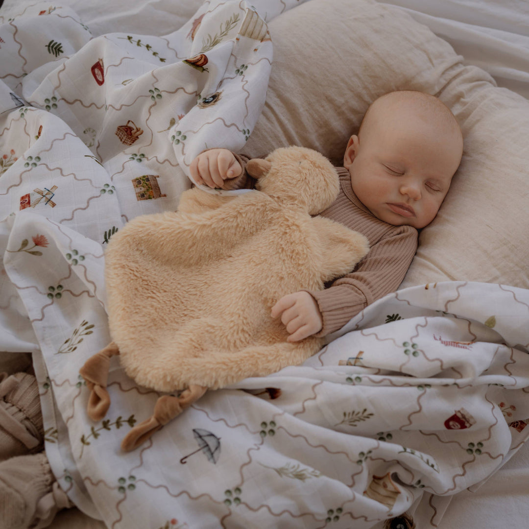 Swaddle | Organic - Cottage Picnic