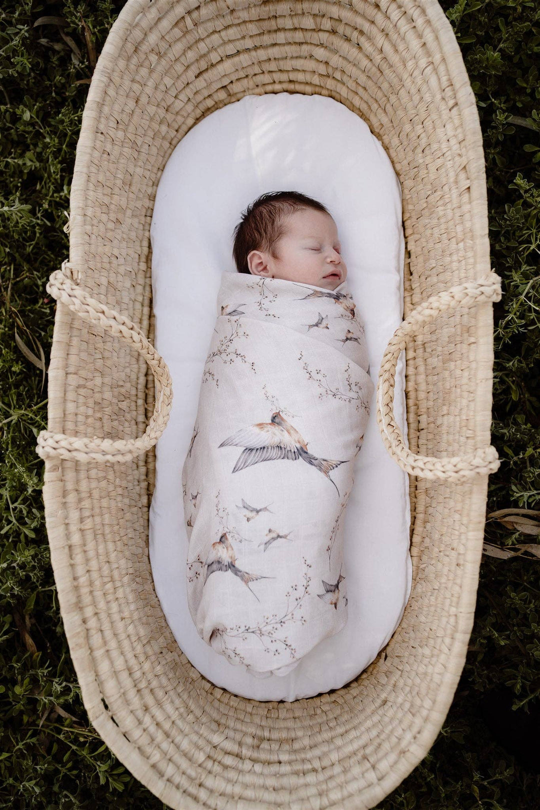 Swaddle | Organic - Nightingale