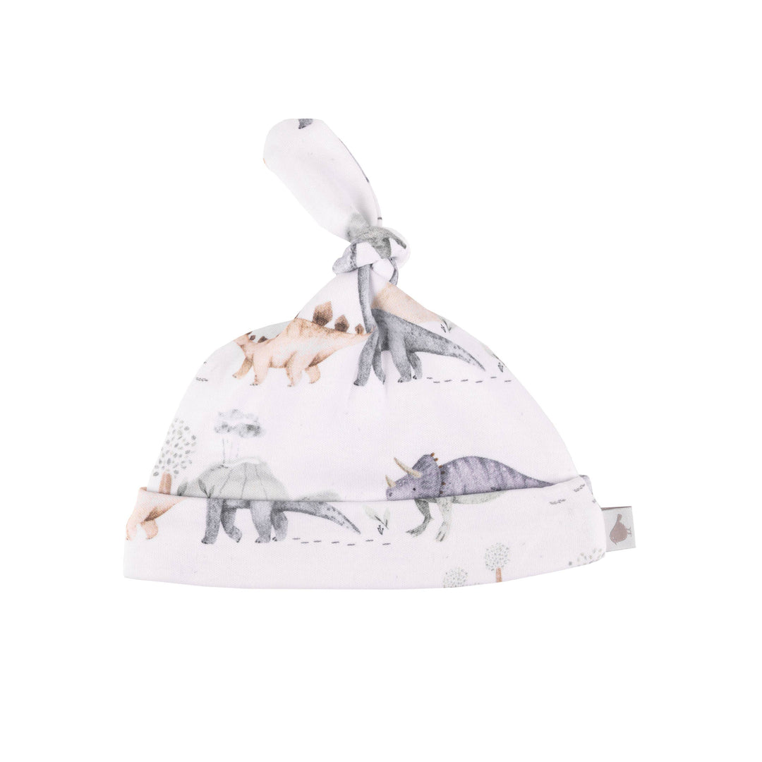Hat | Organic Cotton - Dinosaurs Adventure