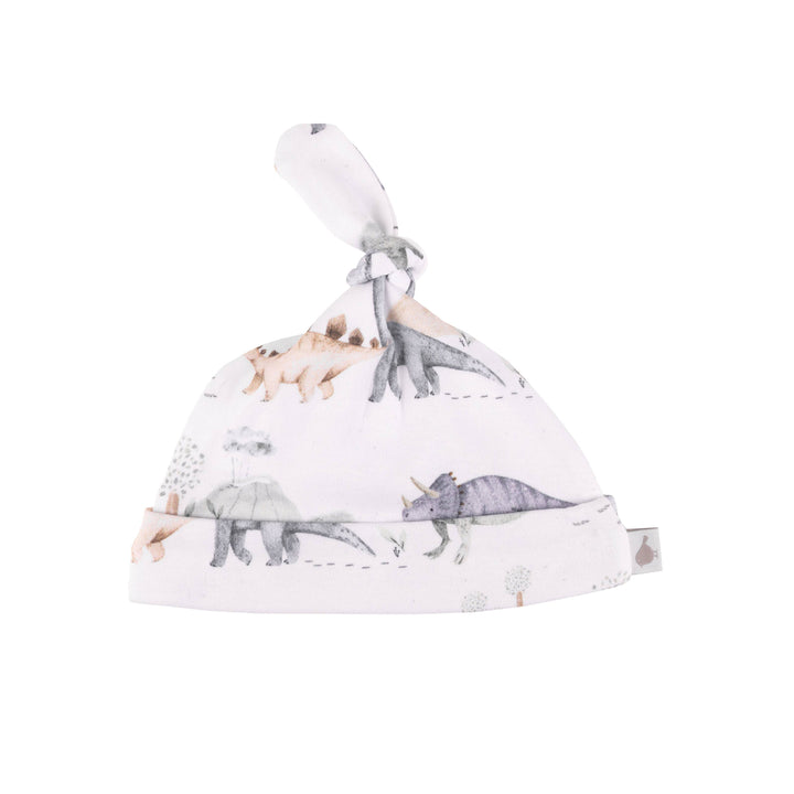 Hat | Organic Cotton - Dinosaurs Adventure