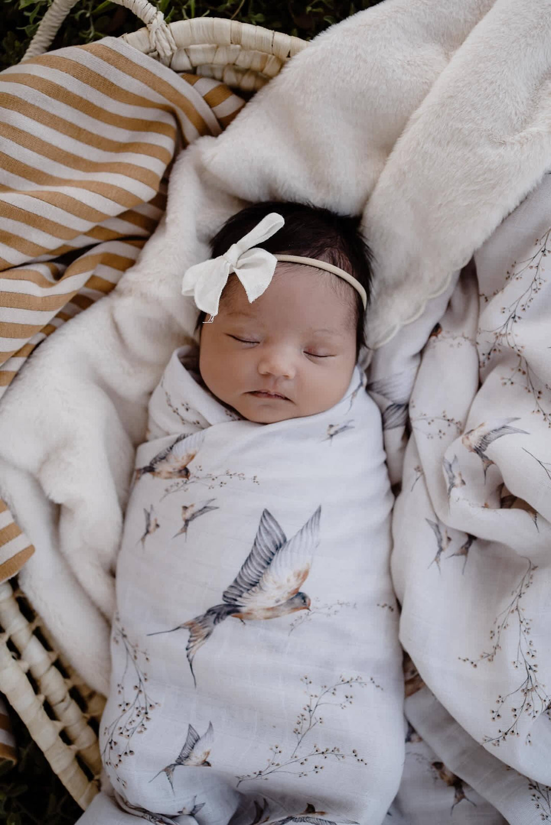Swaddle | Organic - Nightingale