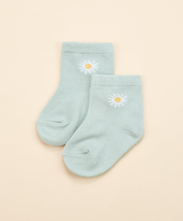 Organic Cotton Baby Socks - Daisies