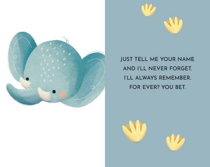 My First Library - Baby Animals