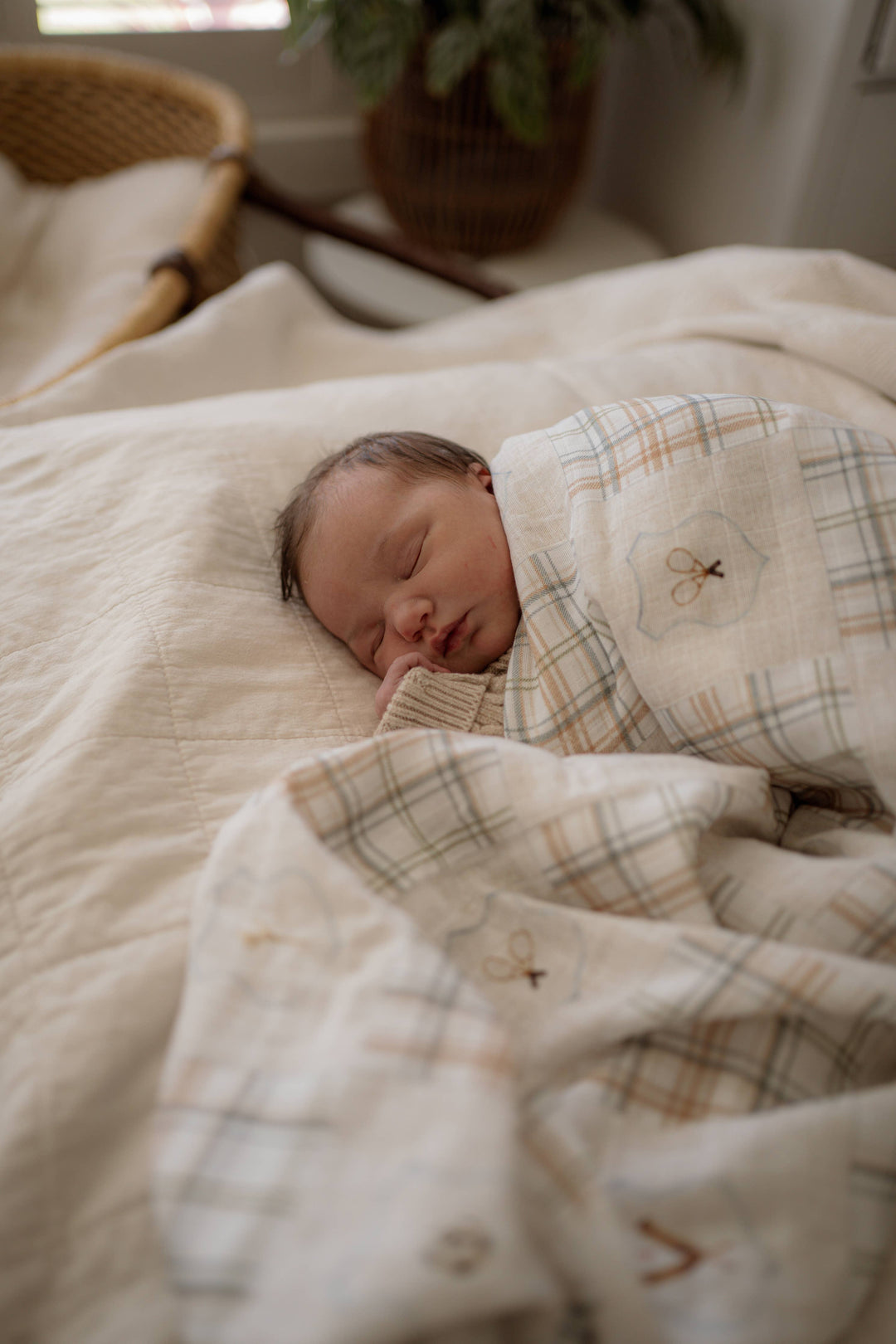 Swaddle | Old Sport