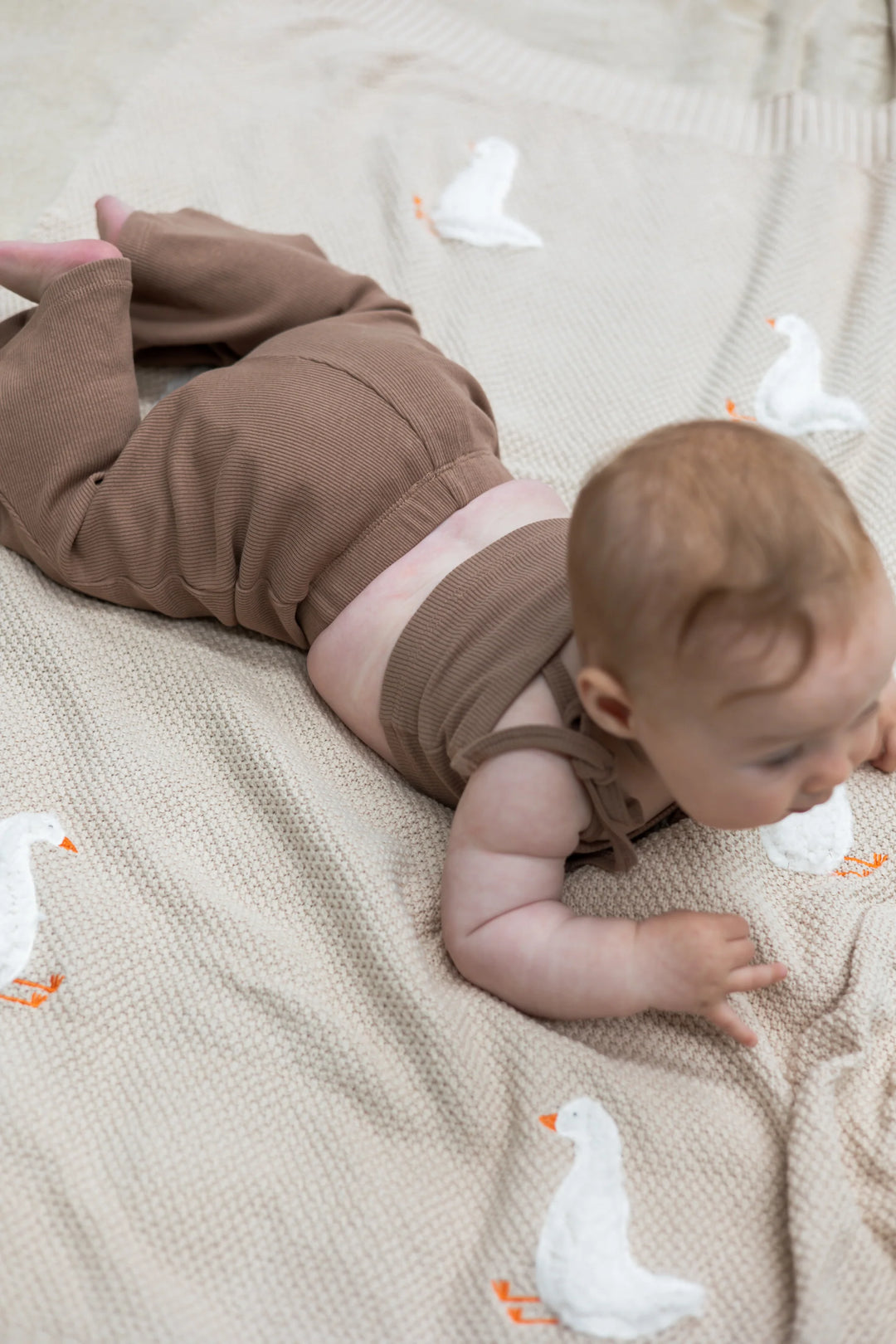 Blanket | Gordy Goose