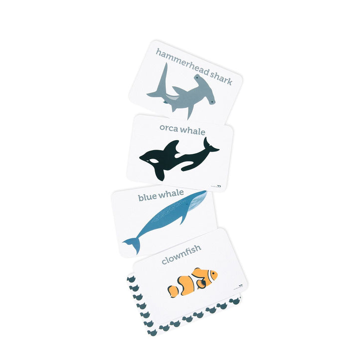 Sea Life Flash Cards