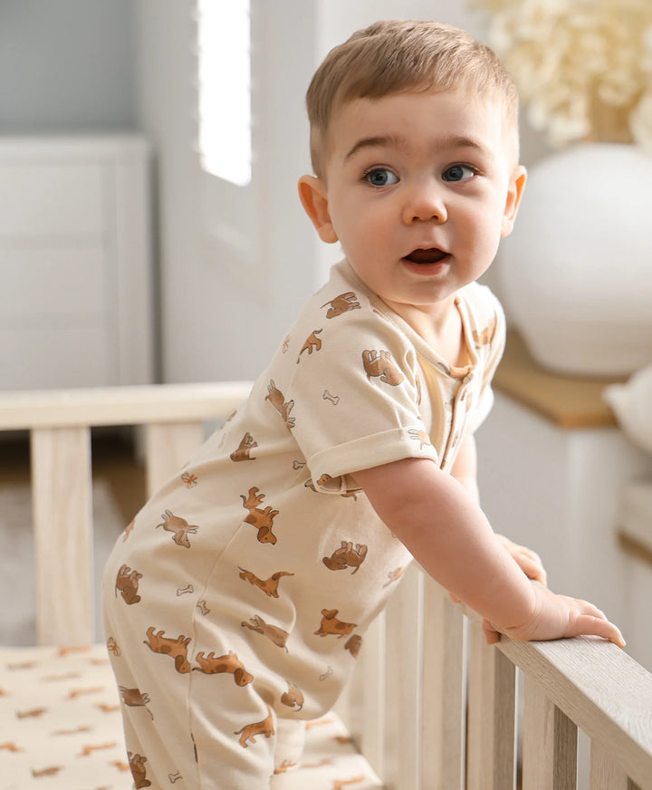 Organic Cotton Romper - Dachshund Dog