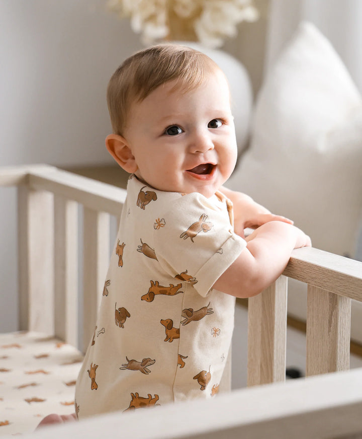 Organic Cotton Romper - Dachshund Dog