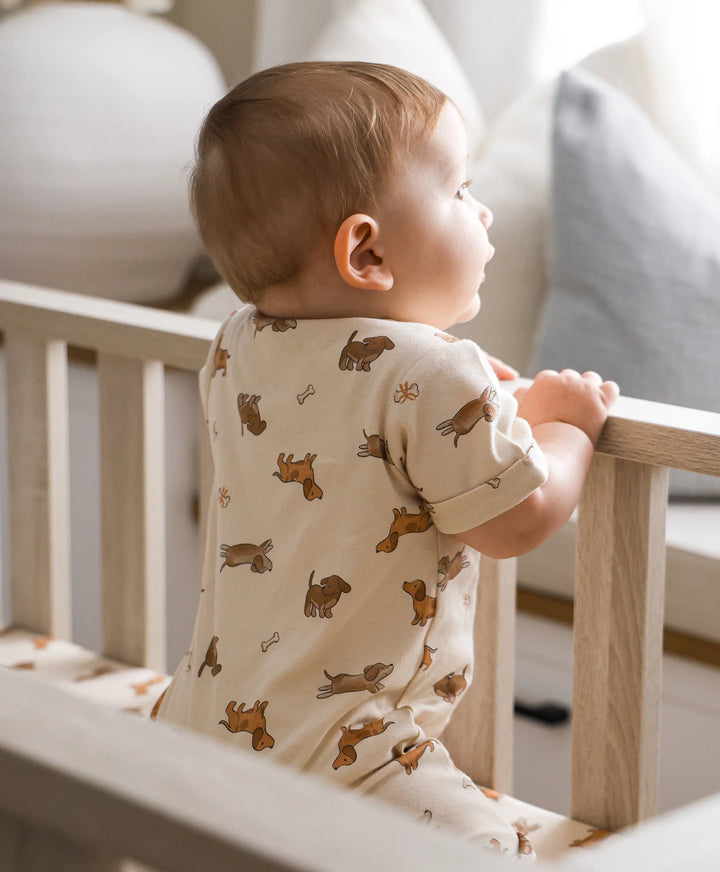 Organic Cotton Romper - Dachshund Dog