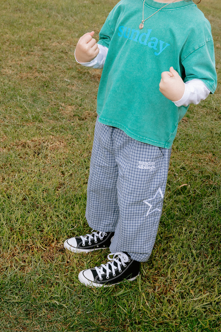 Nash Pants | Blue