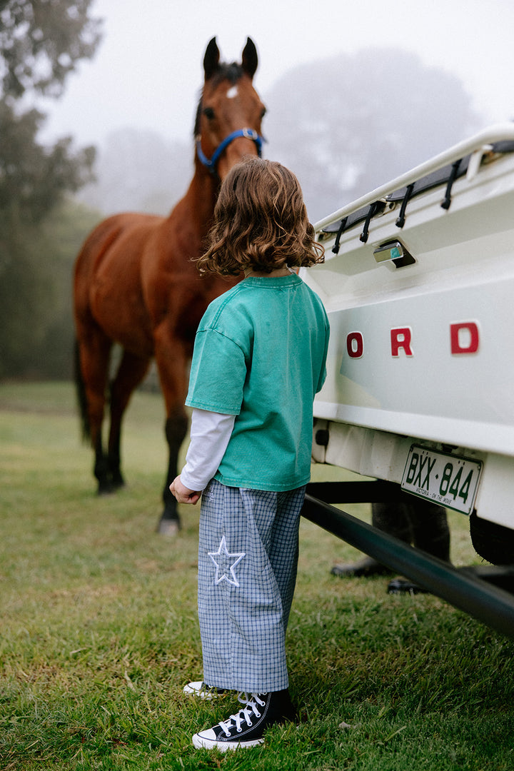 Nash Pants | Blue