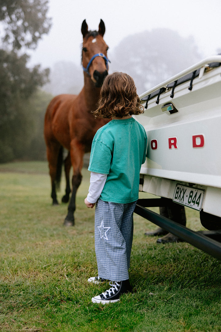 Nash Pants | Blue