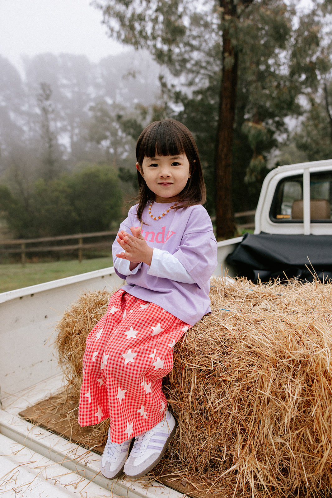 Dusty Star Pants | Pink Gingham