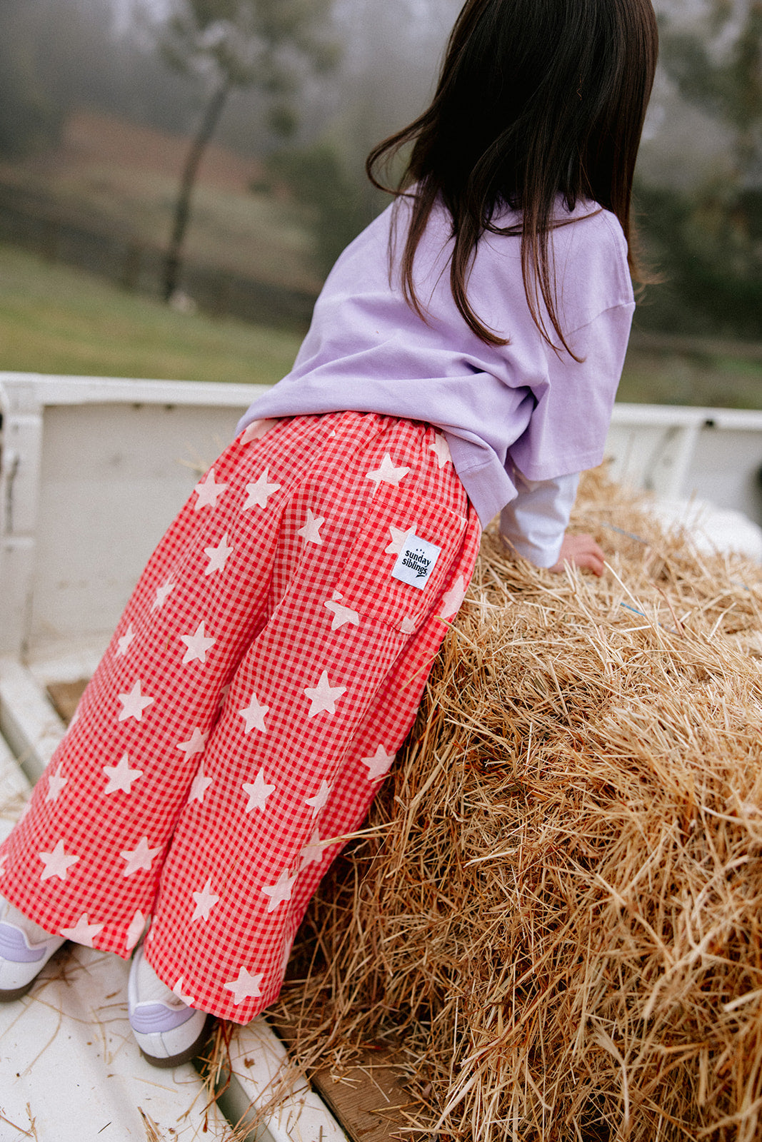 Dusty Star Pants | Pink Gingham