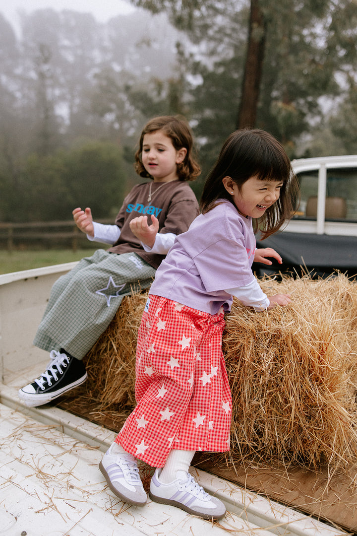 Dusty Star Pants | Pink Gingham