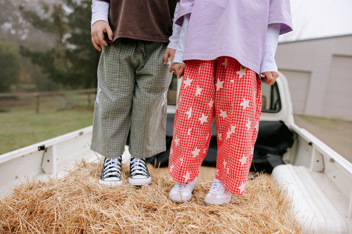 Dusty Star Pants | Pink Gingham