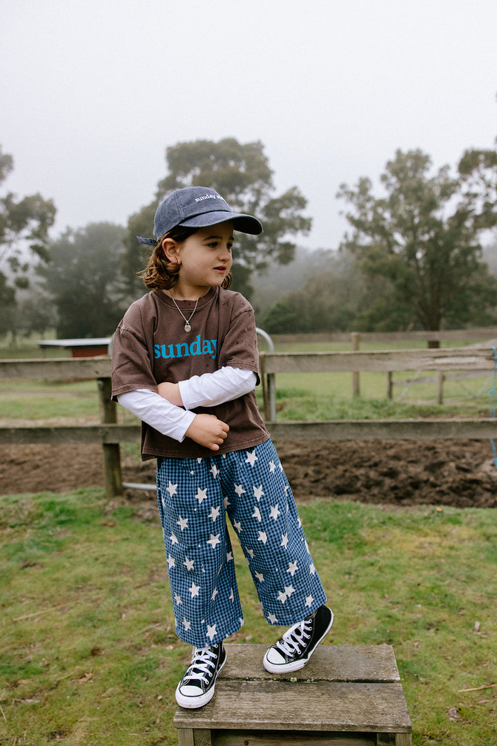 Dusty Star Pants | Blue Gingham