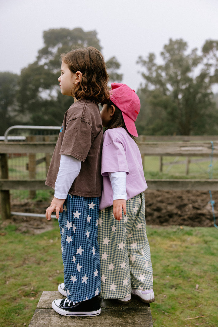 Dusty Star Pants | Blue Gingham