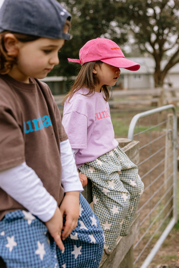 Dusty Star Pants | Blue Gingham