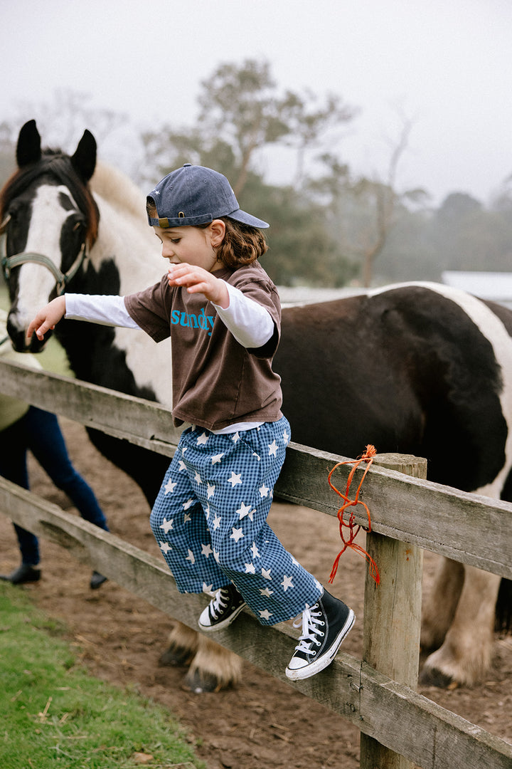 Dusty Star Pants | Blue Gingham